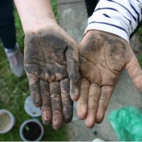 Bodenarten bestimmen, macht schmutzige Hände